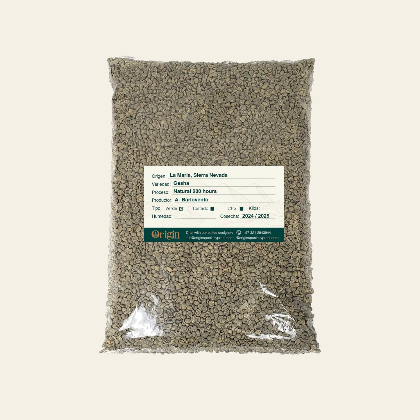 Green Coffee Gêsha