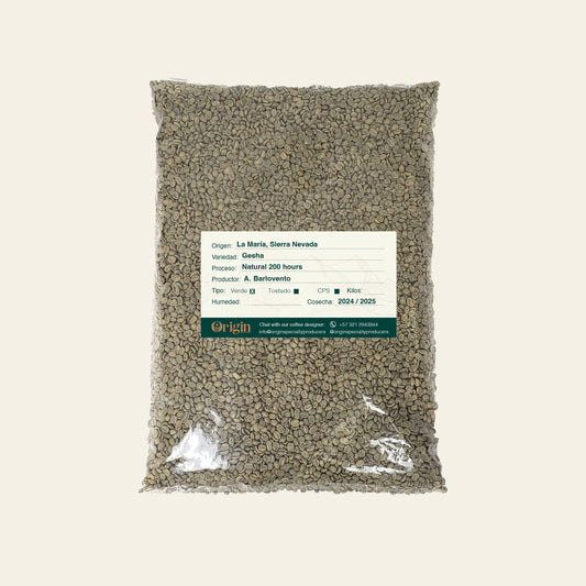 Green Coffee Gêsha